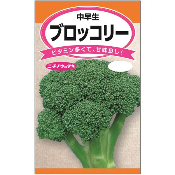 ブロッコリー（中早生） 2袋セット[肥大性がよい中早生種　コンパクトで育てやすい　野菜タネ]