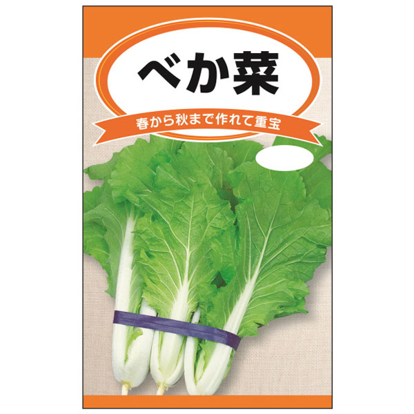 べか菜（山東菜） 2袋セット[結球しない白菜　春～秋まで作れる葉もの　野菜タネ]