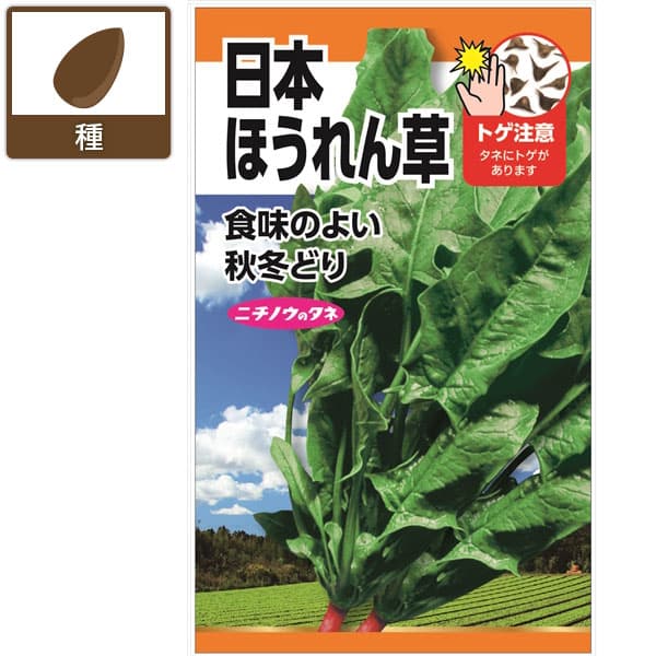 ホウレンソウ種：日本ほうれん草 2袋セット[野菜タネ　秋冬まき]