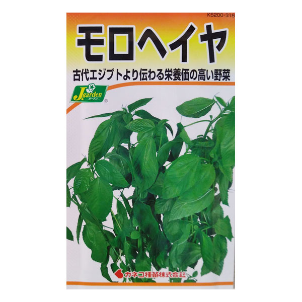 モロヘイヤ 2袋セット[野菜タネ]