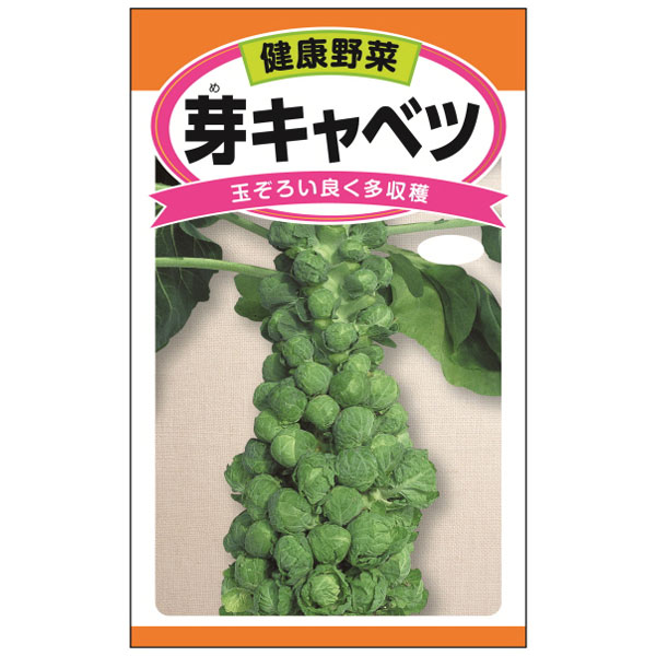 芽キャベツ（子持甘藍） 2袋セット[小さくても栄養たっぷり たくさん採れるメキャベツ　野菜タネ]