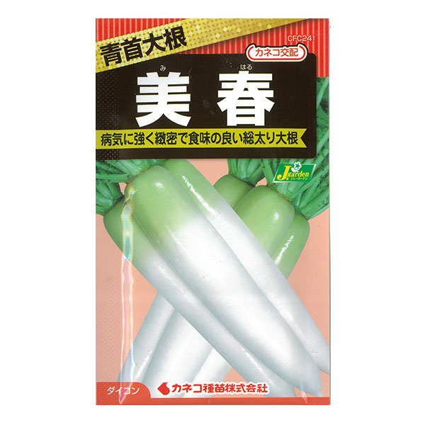 ダイコン種：美春 青首大根[野菜タネ]* 2袋セット