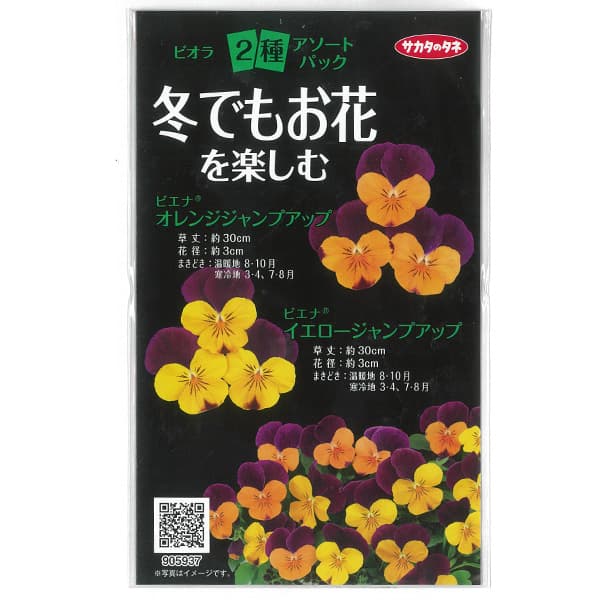 ビオラ2種アソートパック（花タネ） 2袋セット
