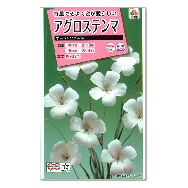 アグロステンマ：オーシャンパール　の種 2袋セット[タキイ 花タネ]