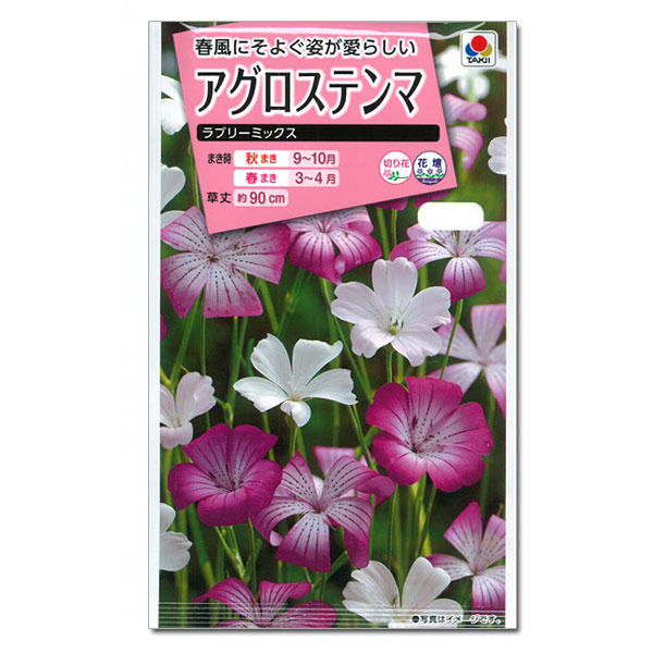 アグロステンマ：ラブリーミックスの種 2袋セット[タキイ 花タネ]