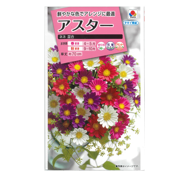 アスター：ネネ混合 2袋セット[タキイ 花タネ]