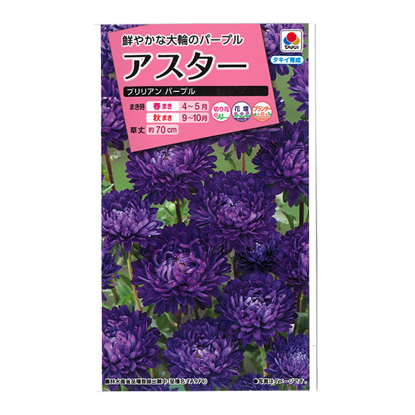 アスター：ブリリアン パープルの種 2袋セット[タキイ 花タネ]