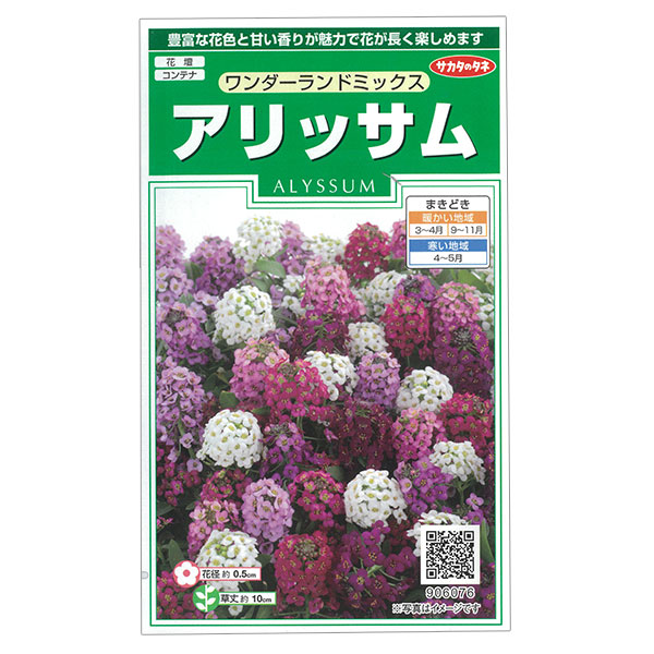 アリッサム：ワンダーランド ミックスの種 2袋セット[サカタ　花タネ]