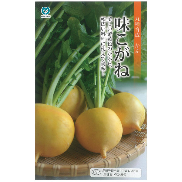 カブ種：味こがね 2袋セット