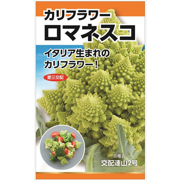カリフラワー：ロマネスコの種 2袋セット[野菜タネ]