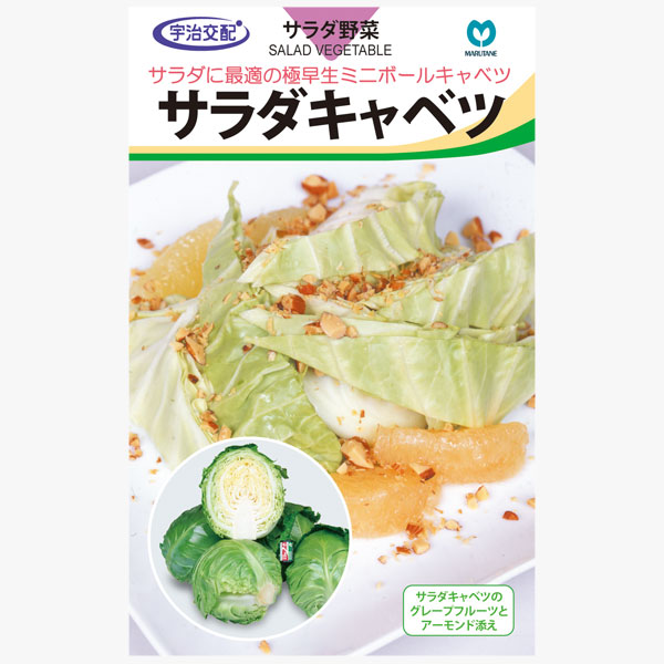キャベツ：サラダキャベツ（ミニックス40） 2袋セット