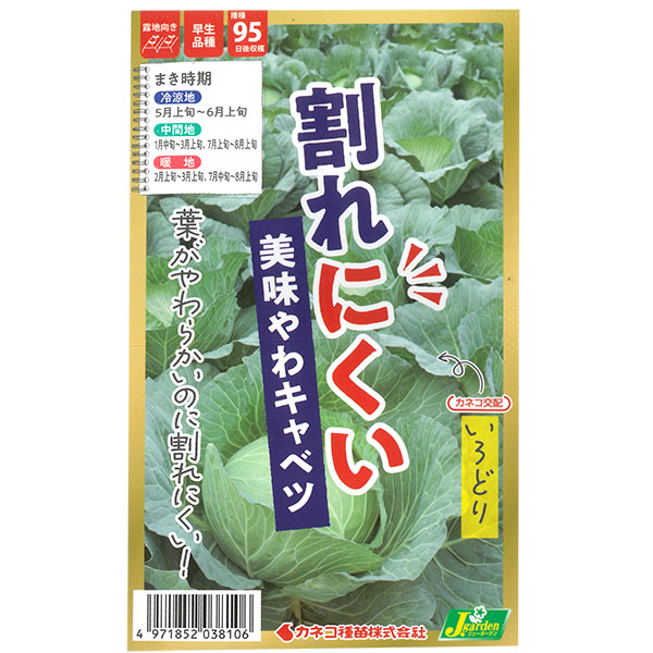 キャベツ：割れにくい やわうまキャベツ いろどり [春・夏まき 野菜タネ]* 2袋セット