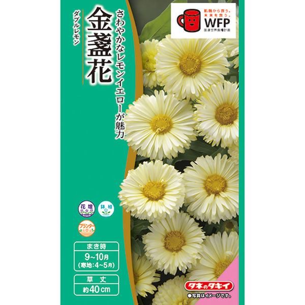 キンセンカ（金盞花）：ダブルレモン 2袋セット[タキイ 花タネ]