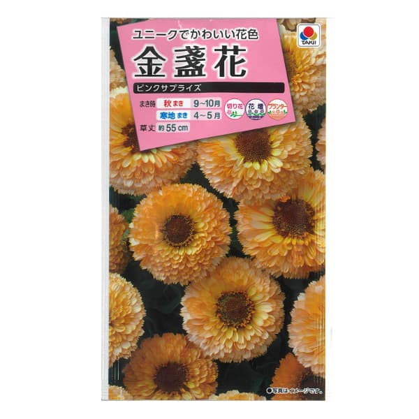 キンセンカ（金盞花）：ピンクサプライズ 2袋セット[タキイ 花タネ]