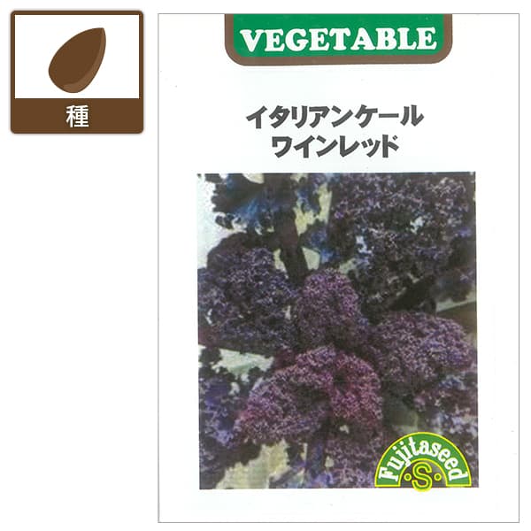 ケール種：イタリアンケール ワインレッド 2袋セット[野菜タネ]