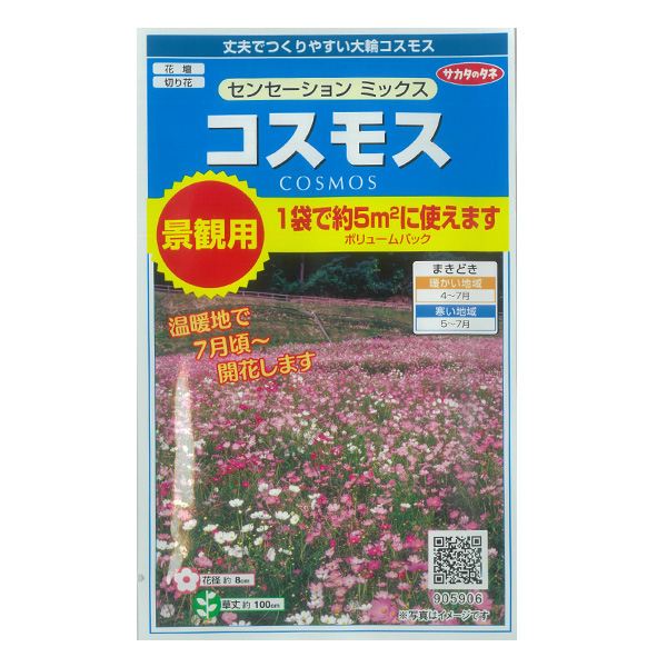 コスモス：センセーション　ミックス　景観用ボリュームパック 2袋セット[春まき　花タネ]