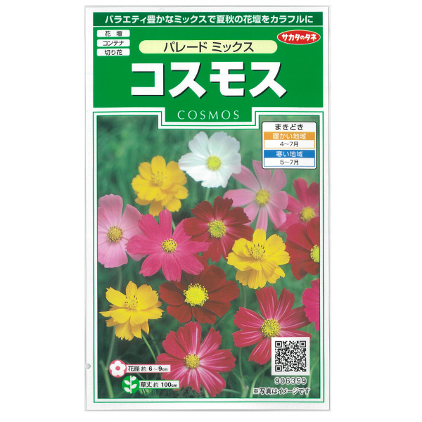 コスモス：パレードミックス 2袋セット[花タネ]