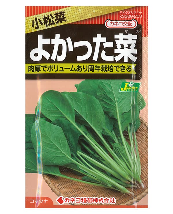コマツナ（小松菜）種：よかった菜(R) の種* 2袋セット[野菜タネ]