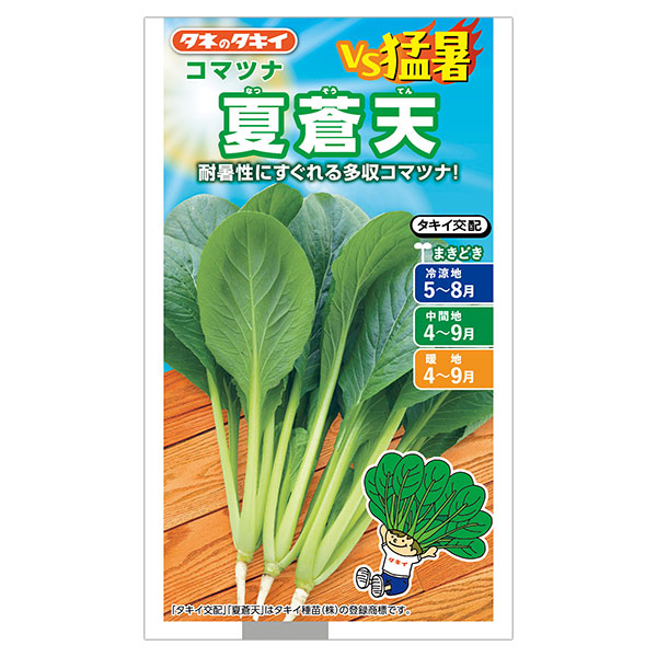 コマツナ：夏蒼天（ナツソウテン） 2袋セット[小松菜 タキイ 野菜タネ]