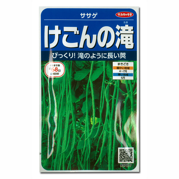 ササゲ：けごんの滝 2袋セット[サカタ　野菜タネ]