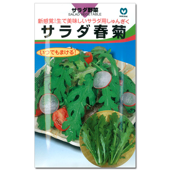 シュンギク（春菊）種：サラダ春菊（きくばり）* 2袋セット