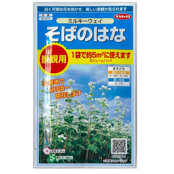 ソバ：（緑化用）ミルキーウエイ　景観用ボリュームパック 2袋セット[春・秋まき　花タネ]