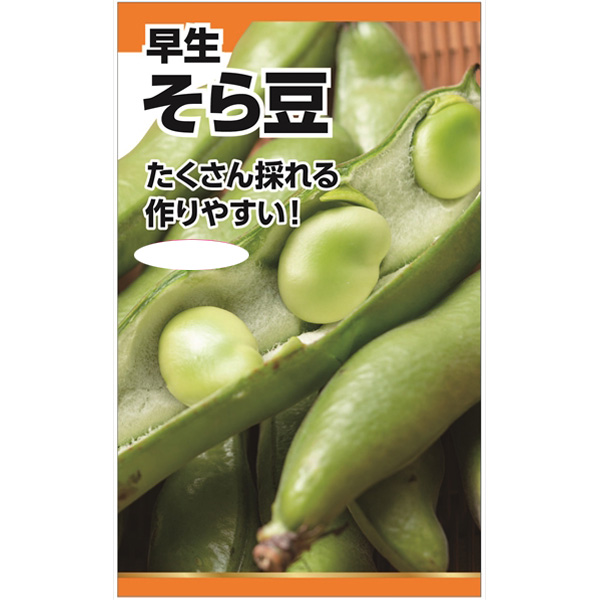 そら豆（早生） 2袋セット[採りたてが美味しい！　たくさん収穫できる早生種のソラマメ　野菜タネ]