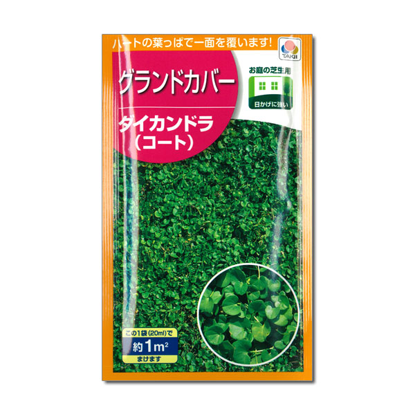 ダイカンドラ：1平米分（20ml） 2袋セット[タネ]