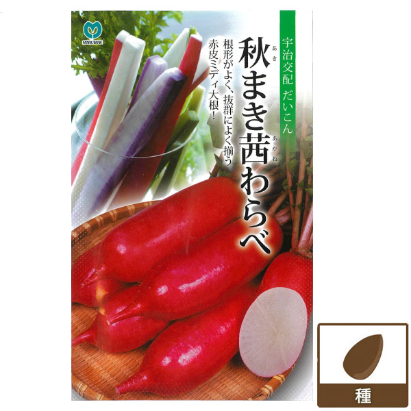 ダイコン（ミディ大根）：秋まき茜わらべ 2袋セット