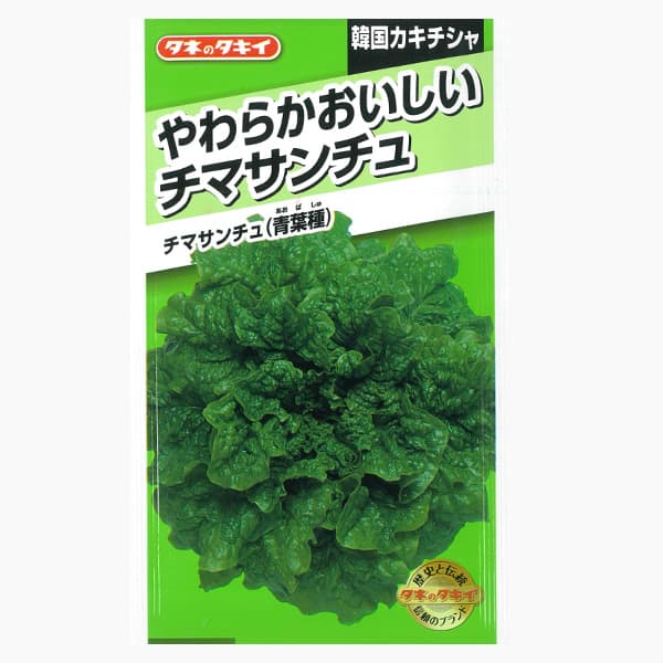 チマサンチュ（韓国カキチシャ）：青葉種[タキイ 野菜タネ]* 2袋セット
