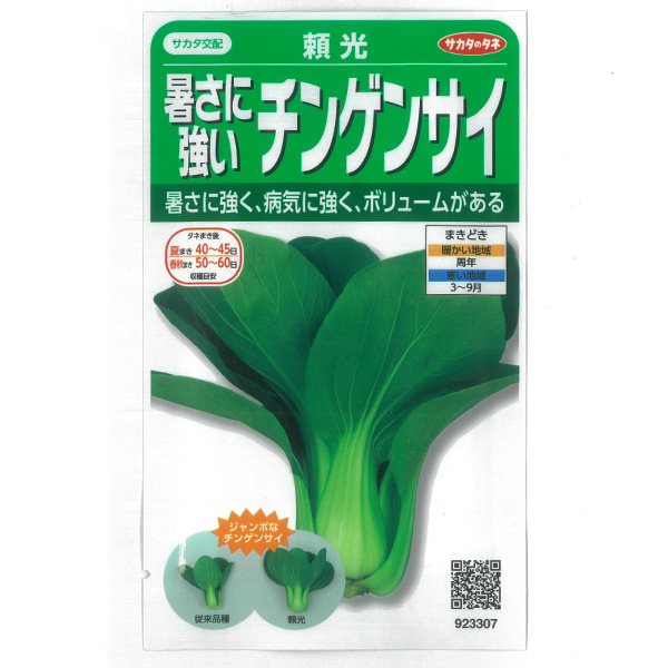 チンゲンサイ種：暑さに強い青梗菜 頼光（らいこう）* 2袋セット[野菜タネ]