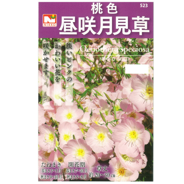 ツキミソウ：桃色昼咲月見草 2袋セット[花タネ]