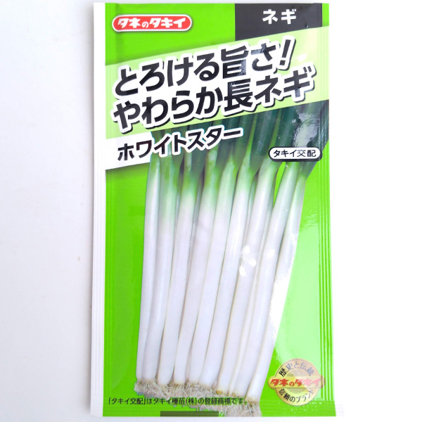 ネギ：ホワイトスター 2袋セット[タキイ 野菜タネ]