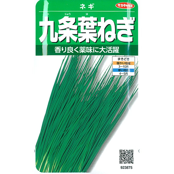 ネギ：九条葉ネギ 2袋セット[香り良く薬味に大活躍！　サカタ　野菜タネ]
