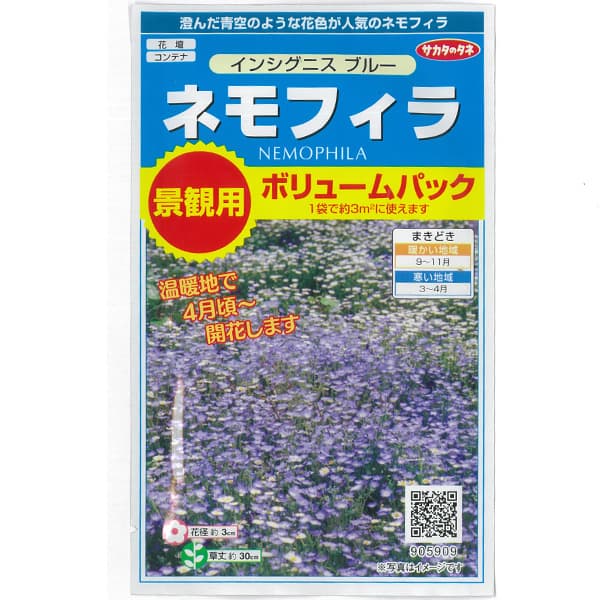 ネモフィラ：インシグニスブルー　景観用ボリュームパック約3平米分 2袋セット[秋まき・春まき　寒地3～4月、暖地9～10月まき　花タネ]