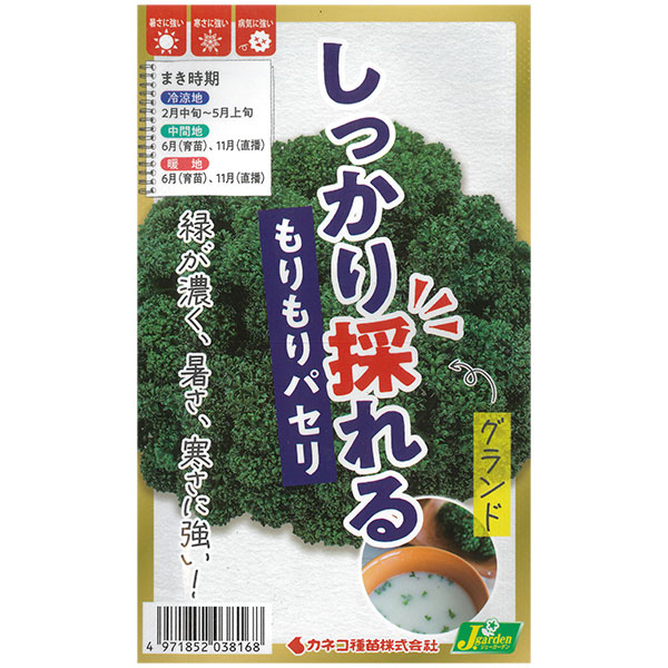 パセリ：しっかり採れる もりもりパセリ グランド [春・秋まき 野菜タネ]* 2袋セット