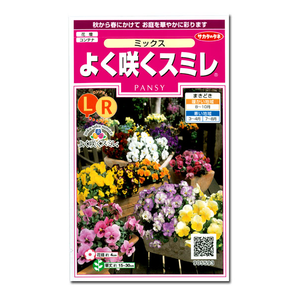 パンジー：よく咲くスミレ　ミックスの種 2袋セット[サカタ　花タネ]