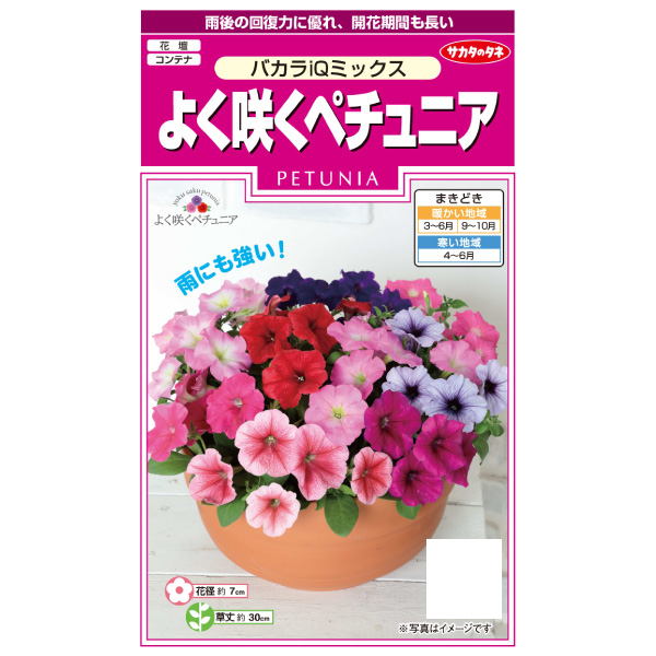ペチュニア：よく咲くペチュニアバカラiQミックスの種 2袋セット[サカタ　花タネ]