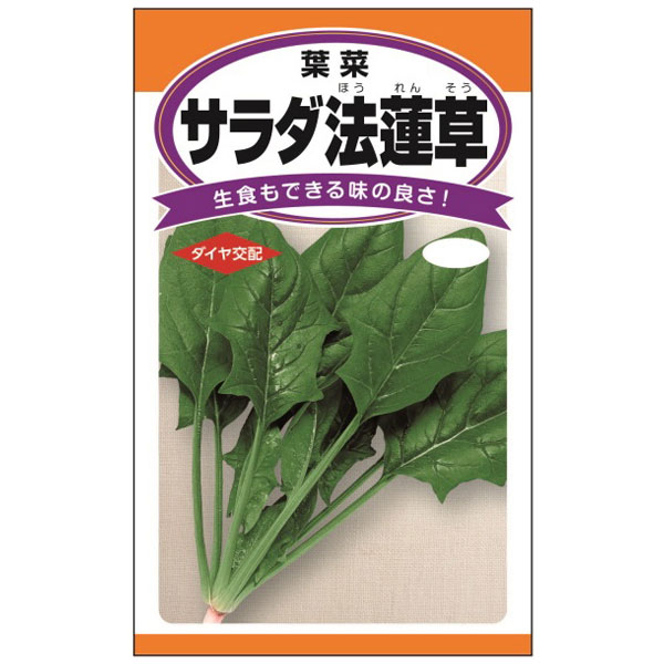ホウレンソウ：サラダ法蓮草　の種 2袋セット[野菜タネ]