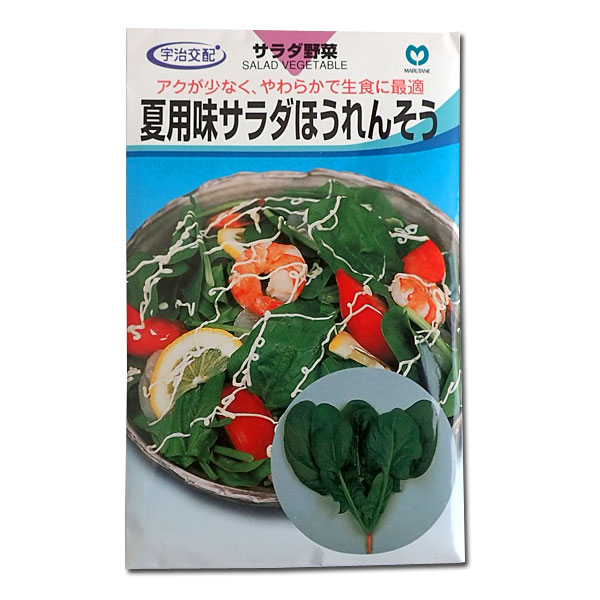 ほうれんそう種：夏用味サラダほうれんそう* 2袋セット[野菜タネ]