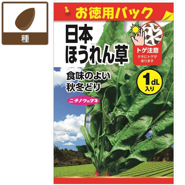 ホウレンソウ種：日本ほうれん草(お徳用パック) 2袋セット[野菜タネ　秋冬まき]
