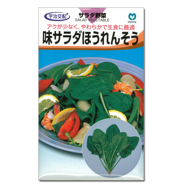 ホウレンソウ種：味サラダほうれんそう 2袋セット