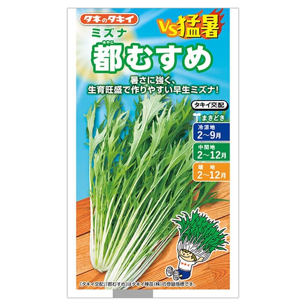 ミズナ：都むすめ（ミヤコムスメ） 2袋セット[水菜 タキイ 野菜タネ]