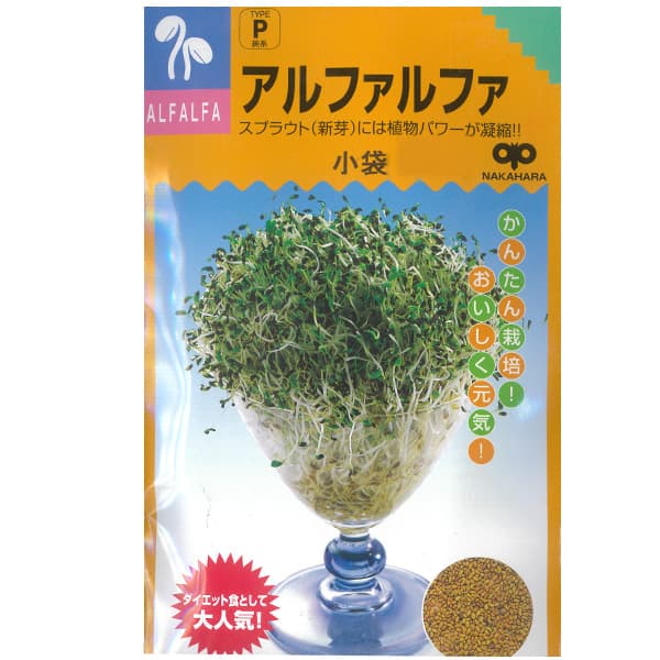 モヤシの種（スプラウト栽培用）：アルファルファ[タネ 通年まき]* 2袋セット