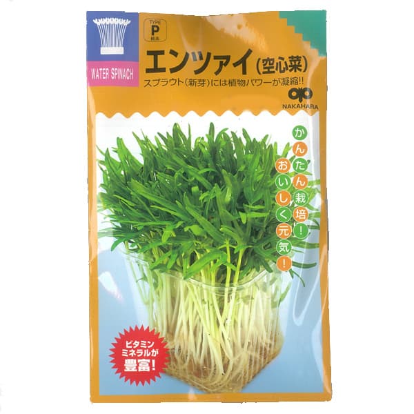 モヤシの種（スプラウト栽培用）：エンツァイ（あさがお菜） 2袋セット[タネ]