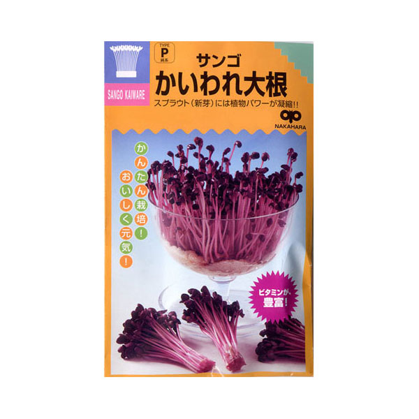 モヤシの種（スプラウト栽培用）：サンゴかいわれ大根 2袋セット[タネ]