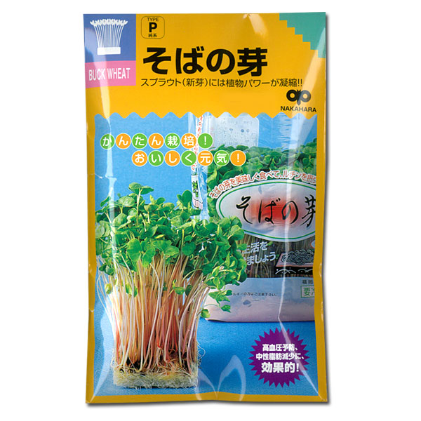 モヤシの種（スプラウト栽培用）：そばの芽 2袋セット[タネ]