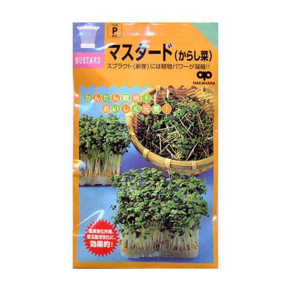モヤシの種（スプラウト栽培用）：マスタード（黄からし菜） 2袋セット[タネ]