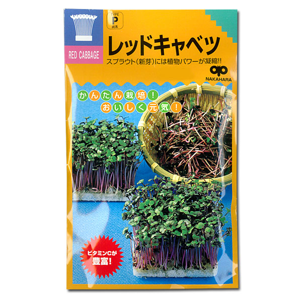 モヤシの種（スプラウト栽培用）：レッドキャベツ 2袋セット[タネ]