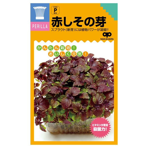 モヤシの種（スプラウト栽培用）：赤しその芽 2袋セット[タネ]